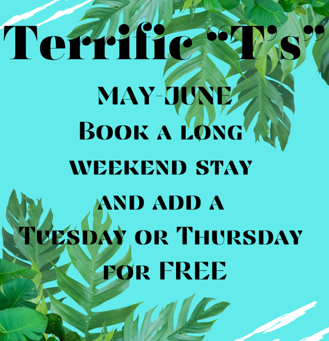 Terrific “T’s”