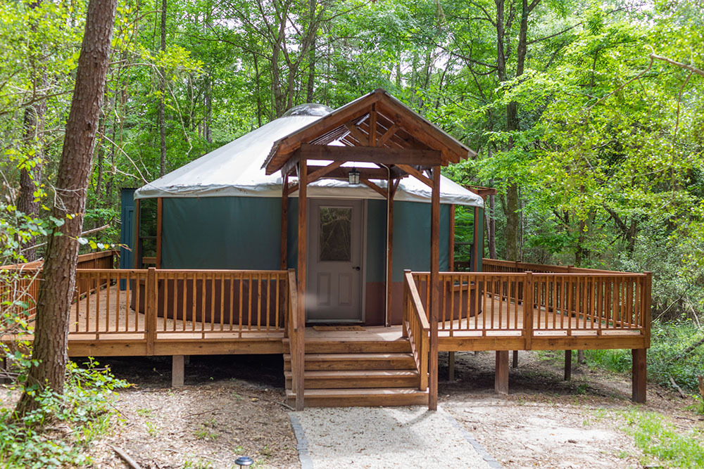 The Love Shack (Y2)