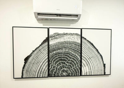 two creeks crossing resort cabin