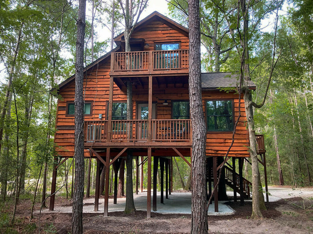 Treescape (T1)