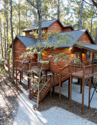 elevated wooden cabin surrounded by lush forest ideal for a serene woodland getaway
