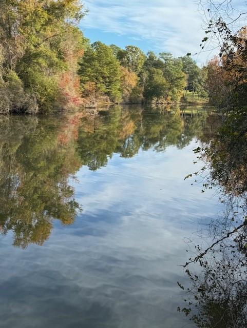 Lakeside View