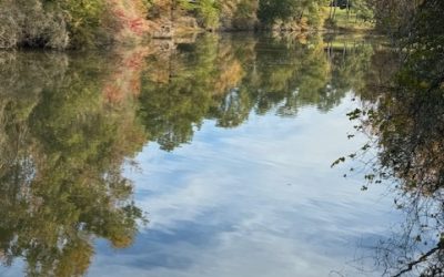 The Perfect Summer Send-Off for Kids Before School Starts