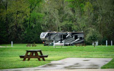 Things to Do in Livingston, TX: A No-Stress Weekend Itinerary That Pairs Perfectly With Lake Time