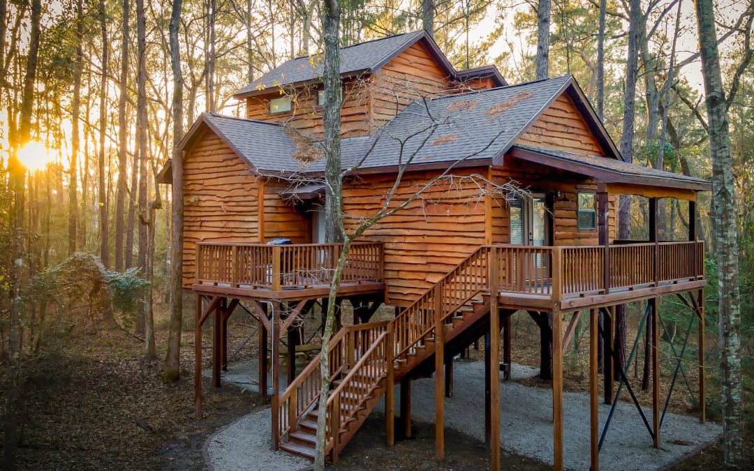 Lake Livingston Accommodations: Cabins vs Treehouses vs Yurts (How to Choose the Right Stay) 